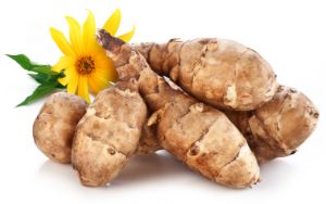 Topinambur Jerusalen - VITALFRUT CHILE LTDA.