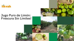 Jugo de limón  - Exportadora Y Distribuidora Tikvah