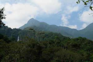 Café Robusta - Agricola de Los valles Centrales