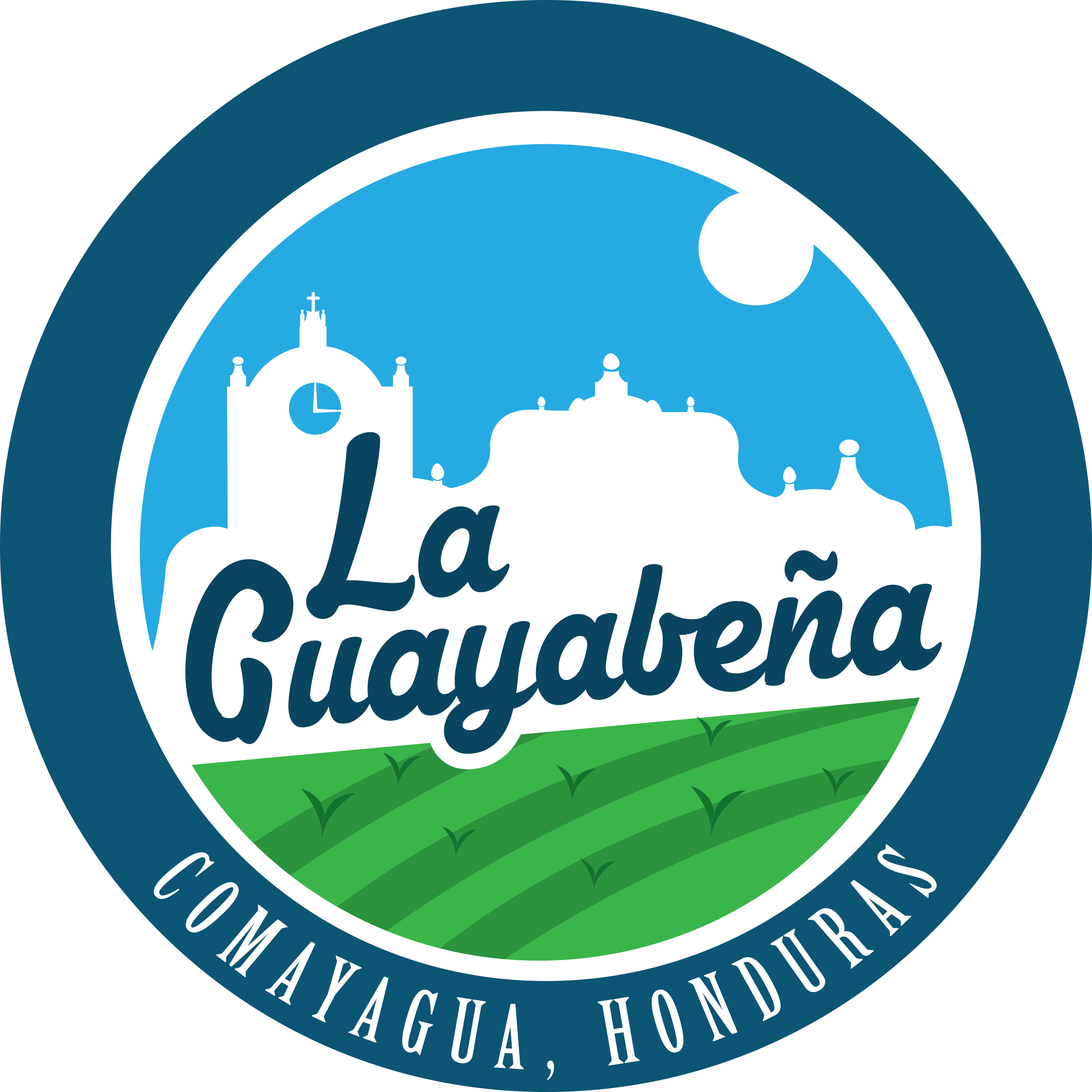 Logo - Asociacion de Productores de Guayaba de Comayagua APGC