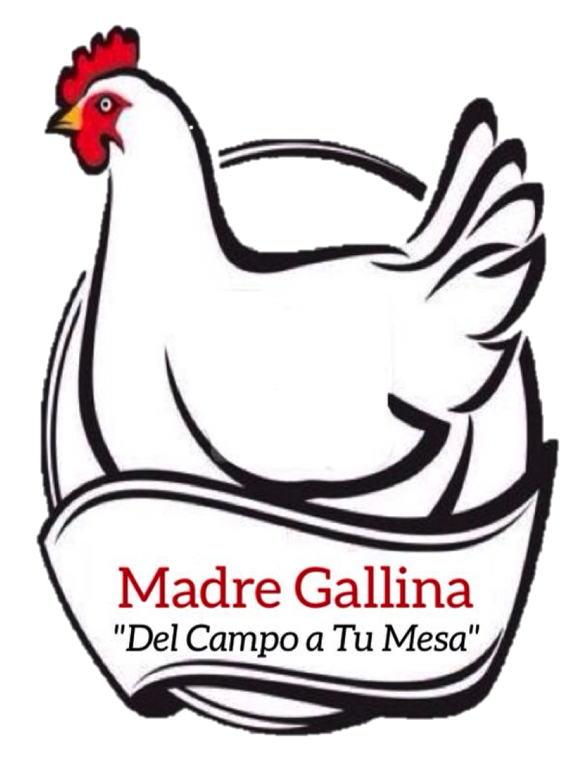 Logo - Diego Hazel Santiago Mardesiche