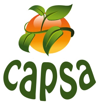 Logo - Capsa Marca