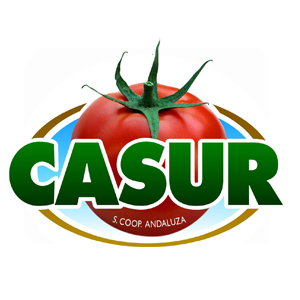 Logo - Casur S.C.A