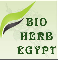 Logo - Bio Herb Egypt Co