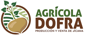 Logo - DOFRA MX
