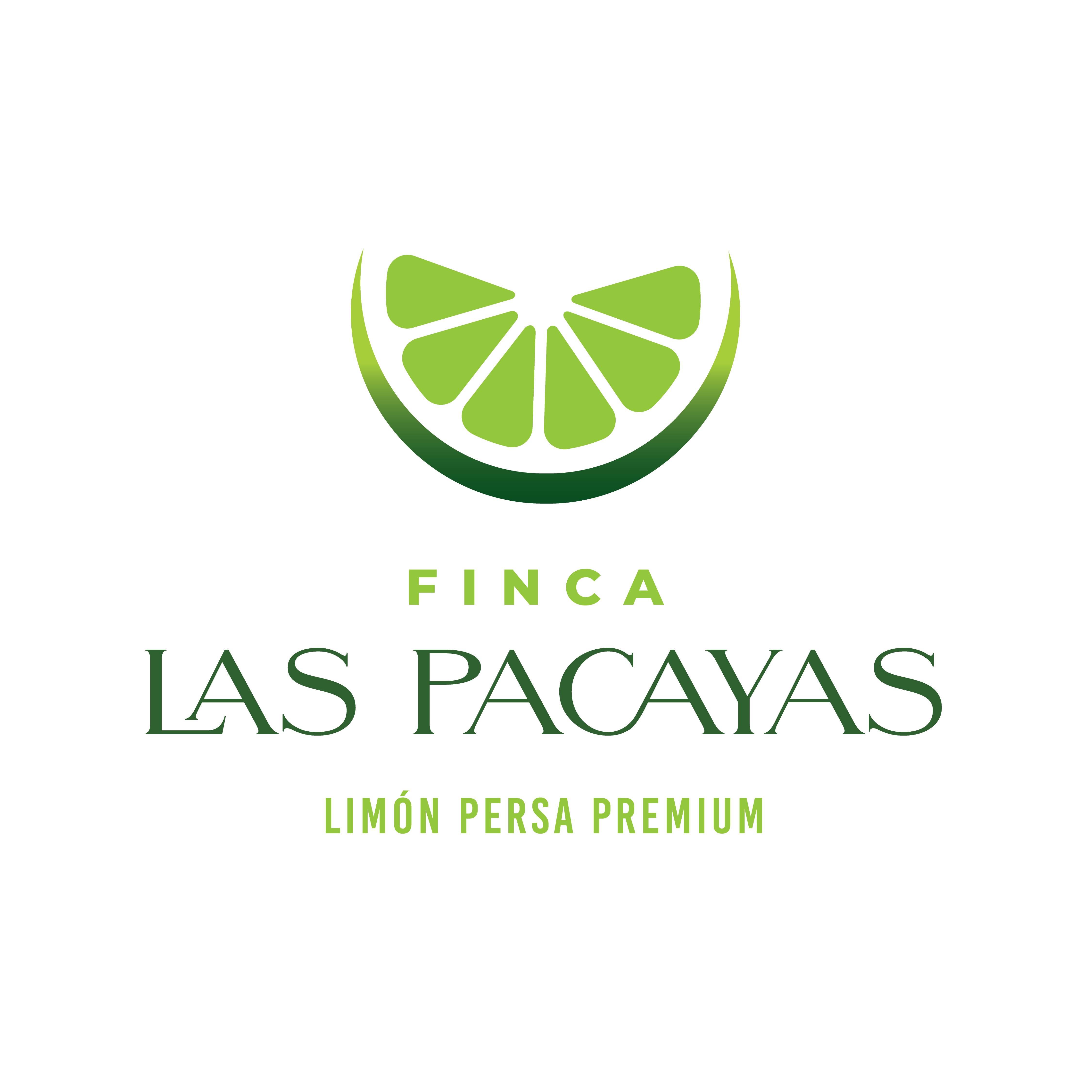 Logo - Minerales de Guatemala / Finca Las Pacayas