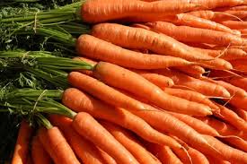 Zanahoria - Bioleyre