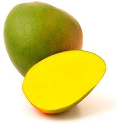 Mango - AJR Comercio Exterior