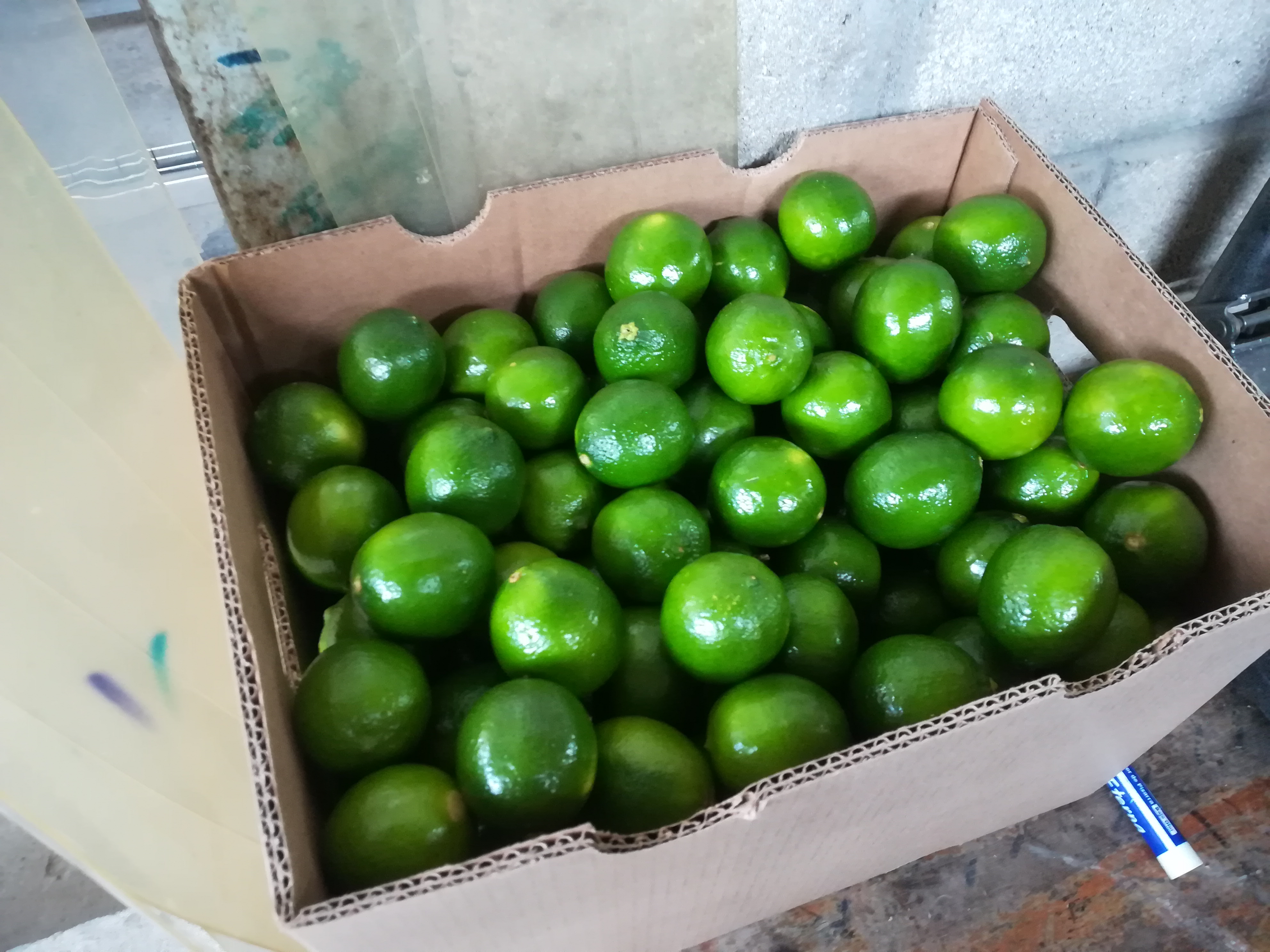 Limón - Citrifruit S. A. S. 