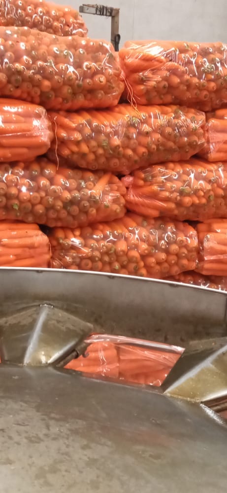 Zanahoria - VORPER