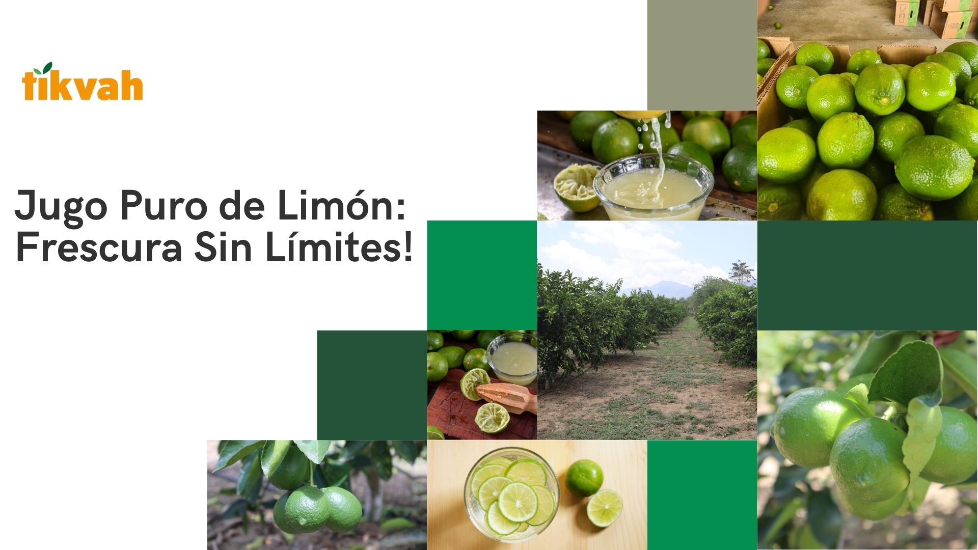 Jugo de limón - Exportadora Y Distribuidora Tikvah