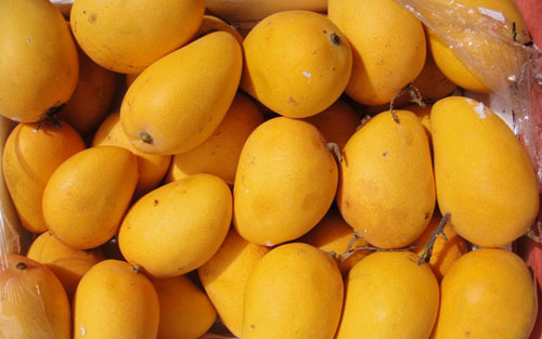 Mango - Fruits & Vegetables Ciro Redondo