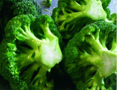 Brócoli  - XalteProduce